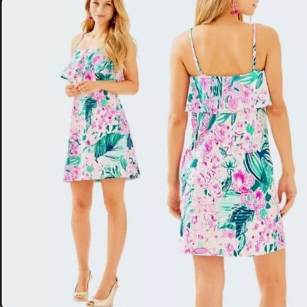 Lilly Pulitzer Multi Via Flora Annastasha dress